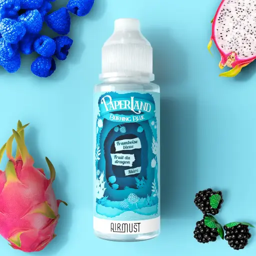 Burning Blue Paperland - 100ml 